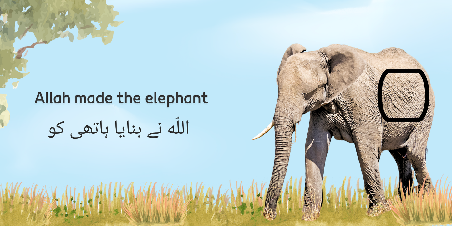 ALLAH MADE THE ANIMALS