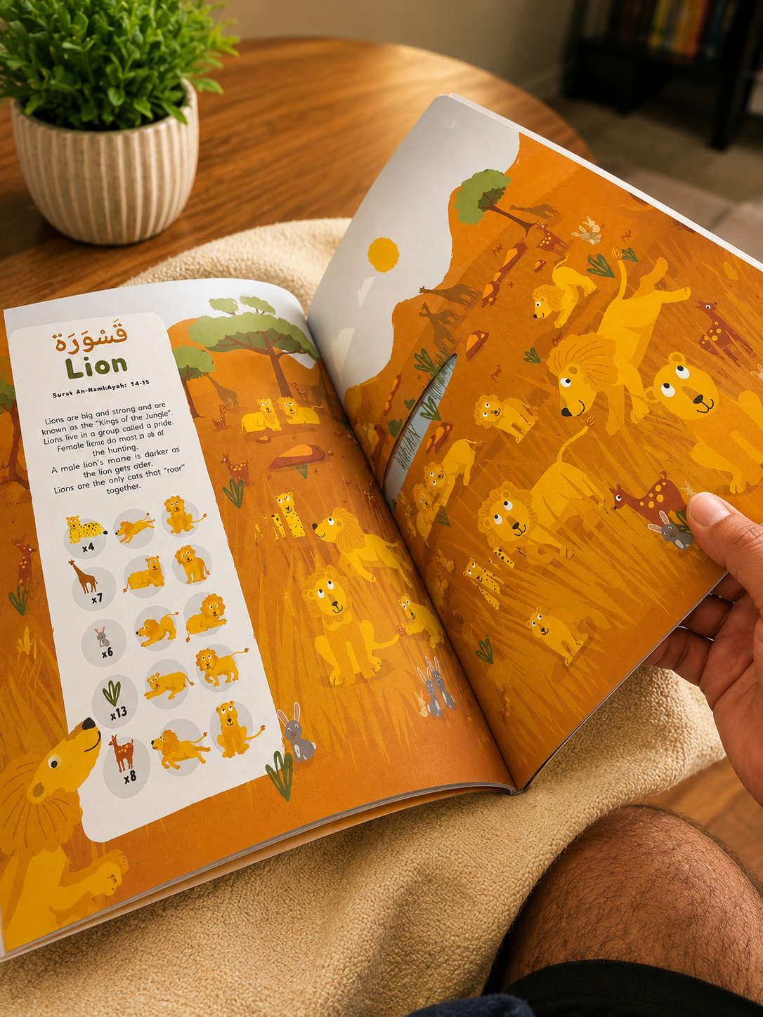 Animals in the Quran: Search & Find
