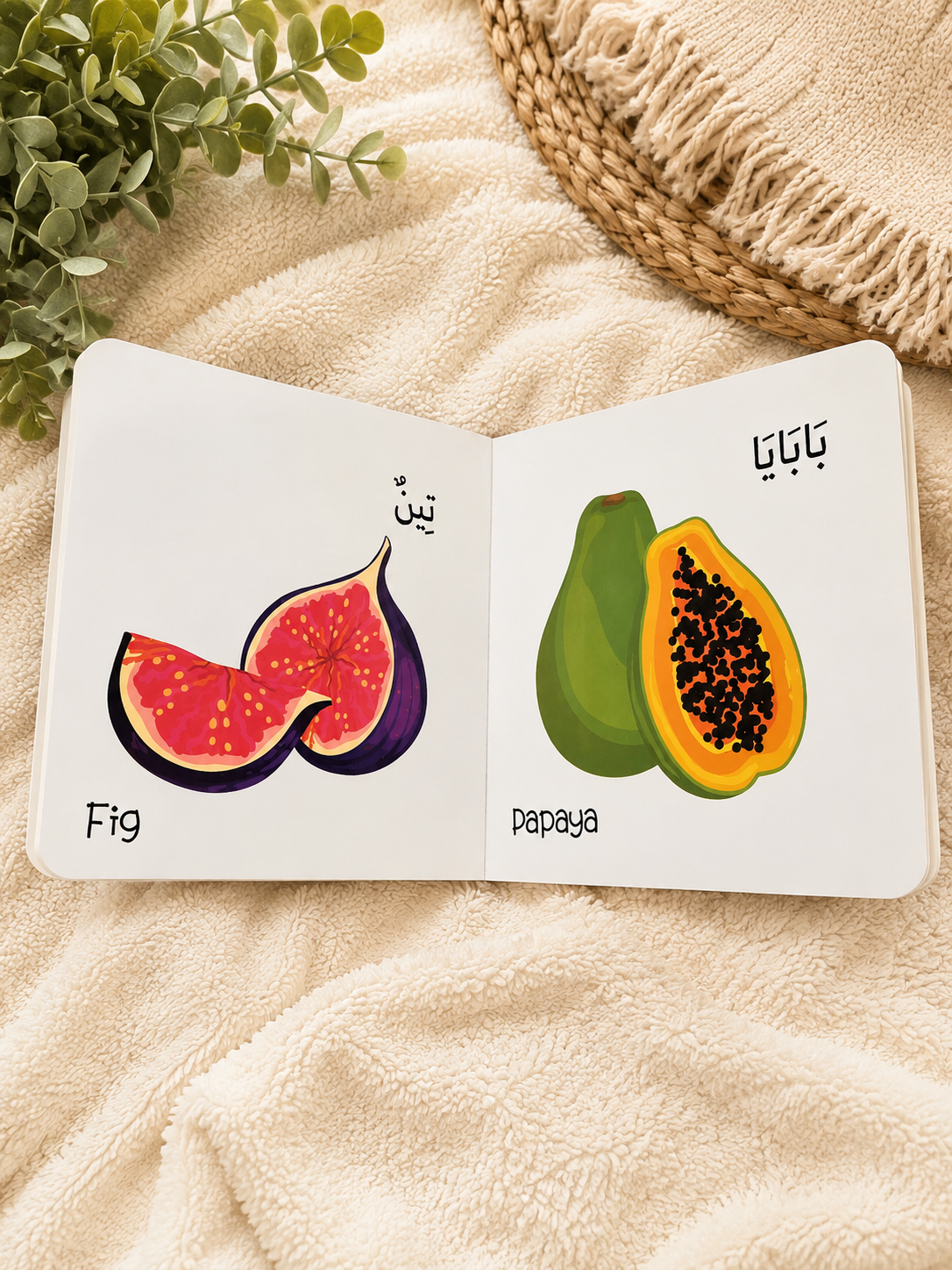 MY FIRST BOOK ON FRUIT