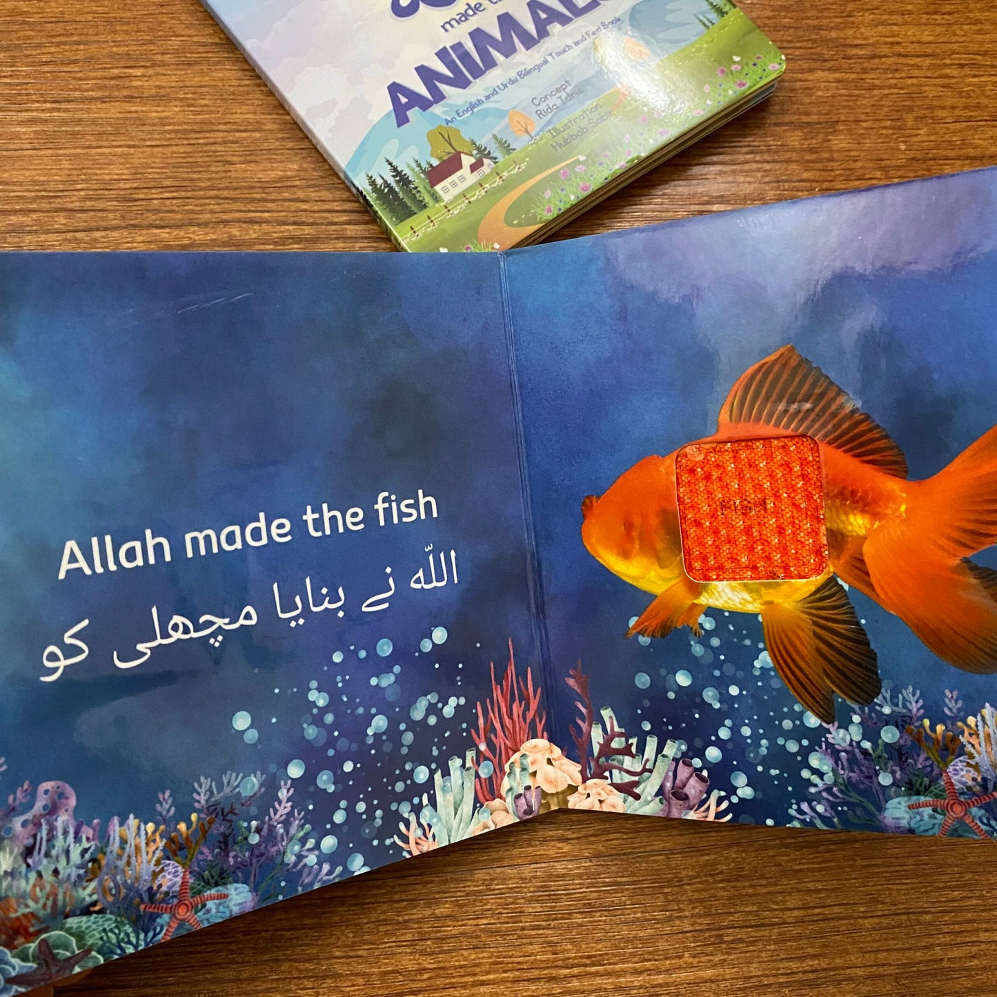 ALLAH MADE THE ANIMALS